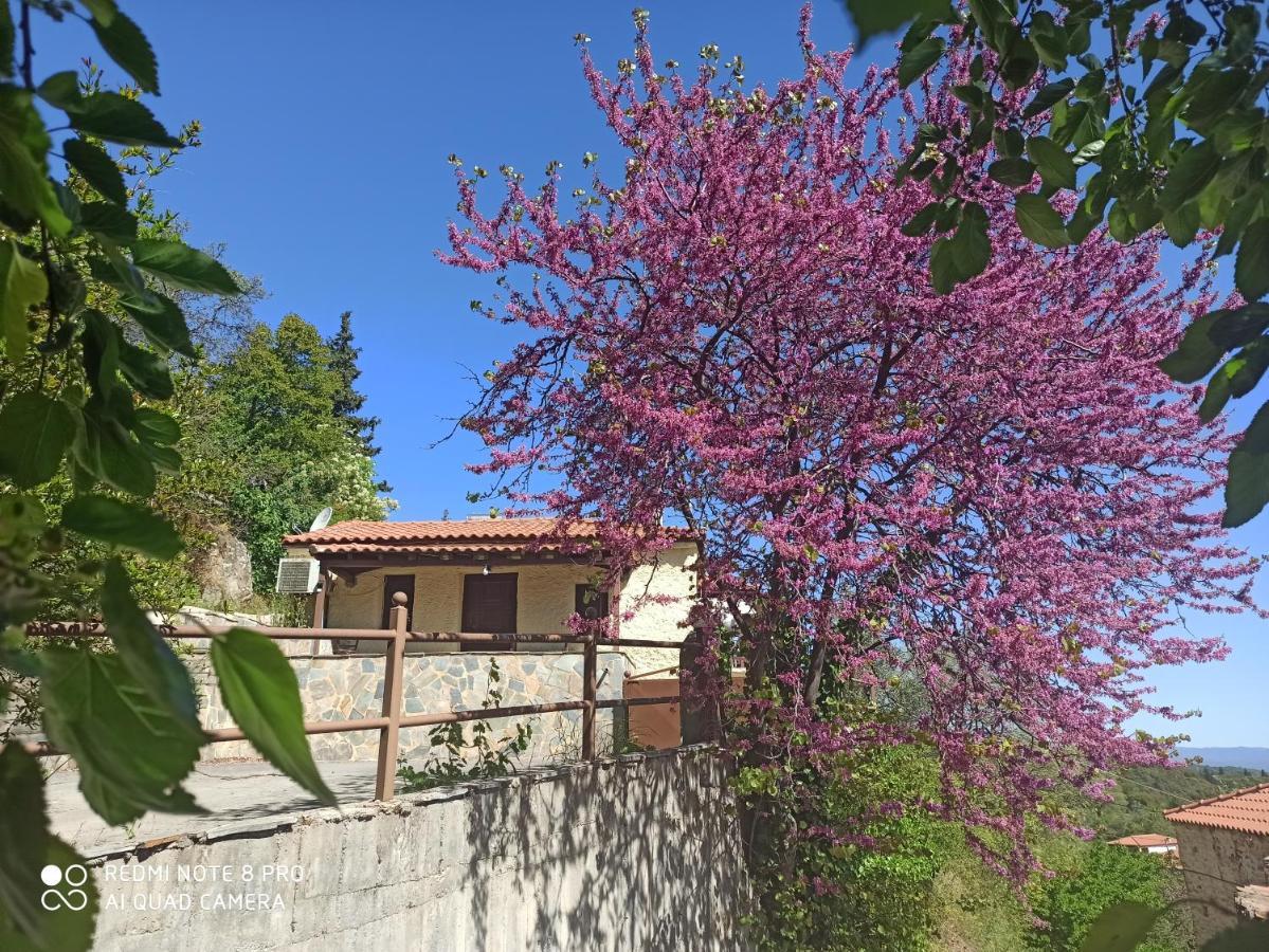 Forestrock Studio For Sale Too EEsparta Exterior foto